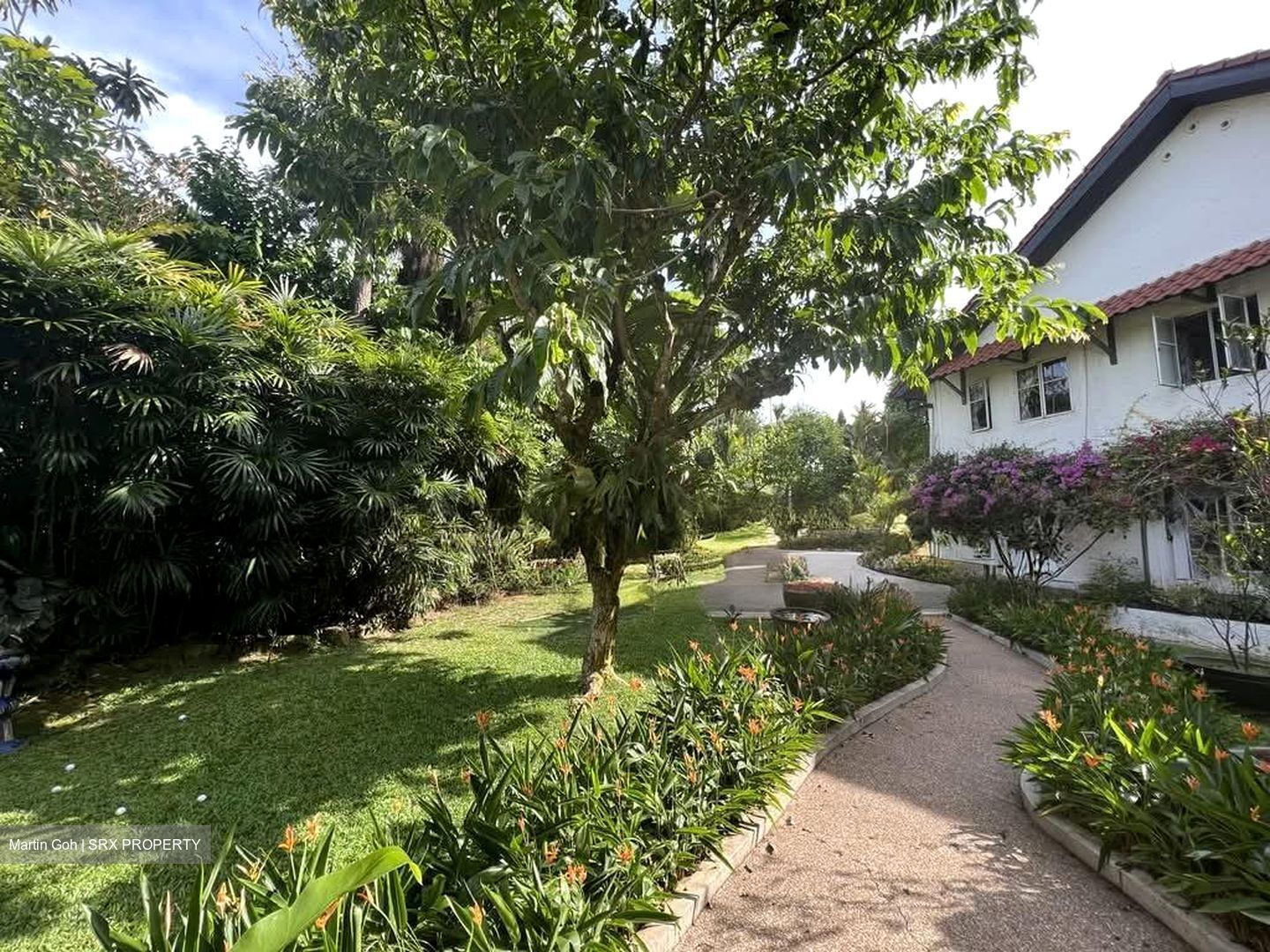Race Course Road (D8), Detached #578525721
